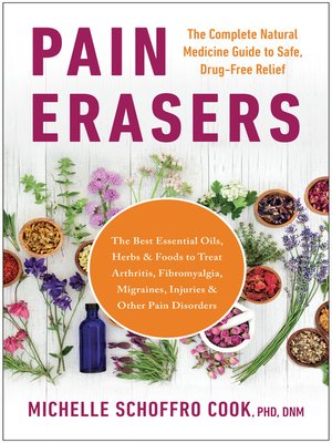 cover image of Pain Erasers